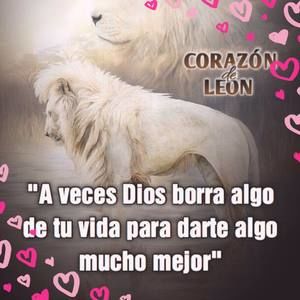 Meet your Posher, Carmen